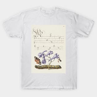 Antique 16th Century Calligraphy with Insects and Flora T-Shirt